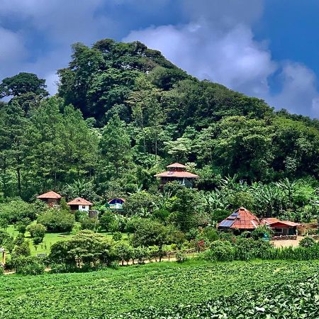 Finca Neblina Del Bosque เอสเตลิ ภายนอก รูปภาพ