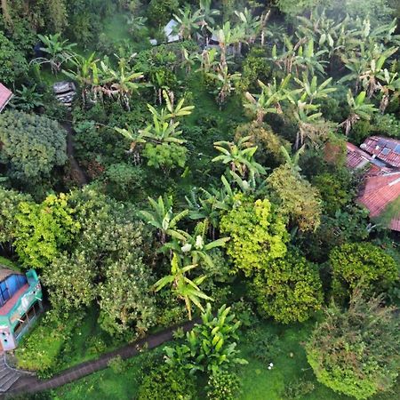 Finca Neblina Del Bosque เอสเตลิ ภายนอก รูปภาพ