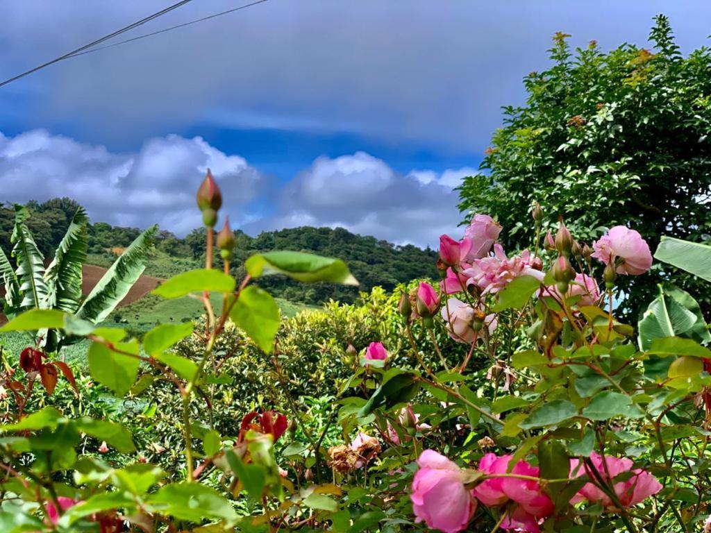 Finca Neblina Del Bosque เอสเตลิ ภายนอก รูปภาพ