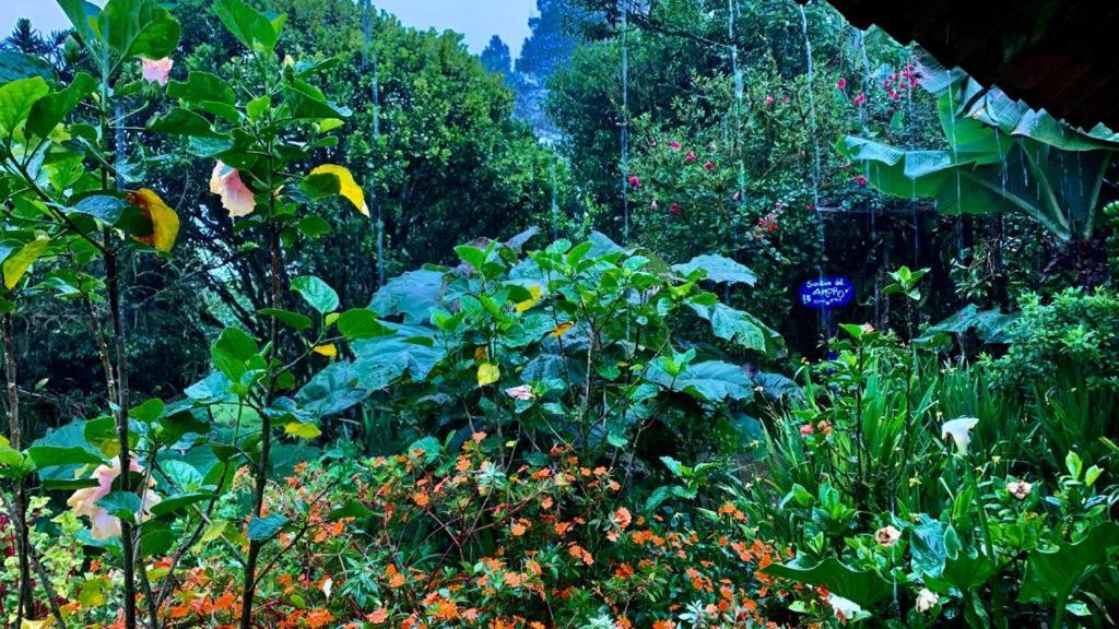 Finca Neblina Del Bosque เอสเตลิ ภายนอก รูปภาพ