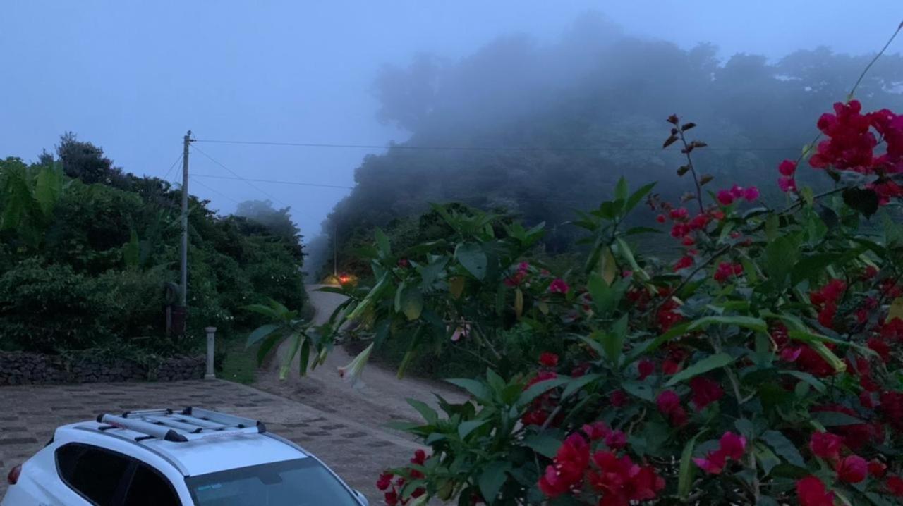 Finca Neblina Del Bosque เอสเตลิ ภายนอก รูปภาพ