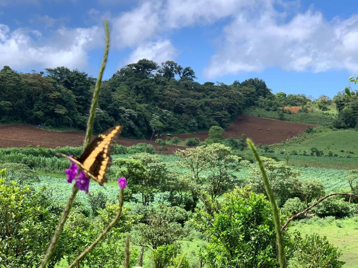 Finca Neblina Del Bosque เอสเตลิ ภายนอก รูปภาพ