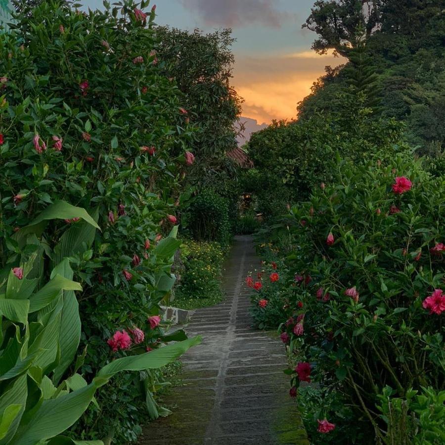 Finca Neblina Del Bosque เอสเตลิ ภายนอก รูปภาพ