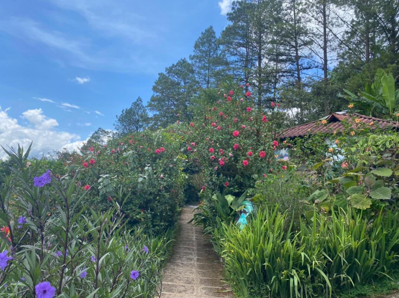 Finca Neblina Del Bosque เอสเตลิ ภายนอก รูปภาพ