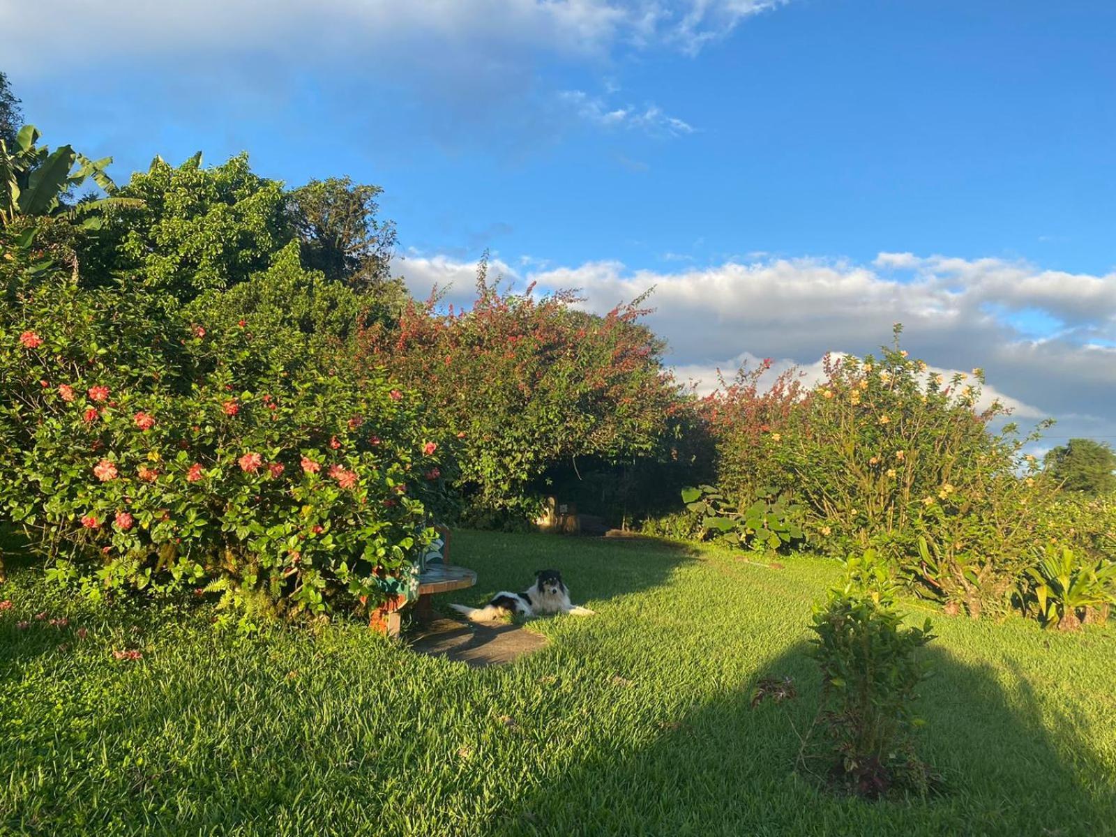 Finca Neblina Del Bosque เอสเตลิ ภายนอก รูปภาพ