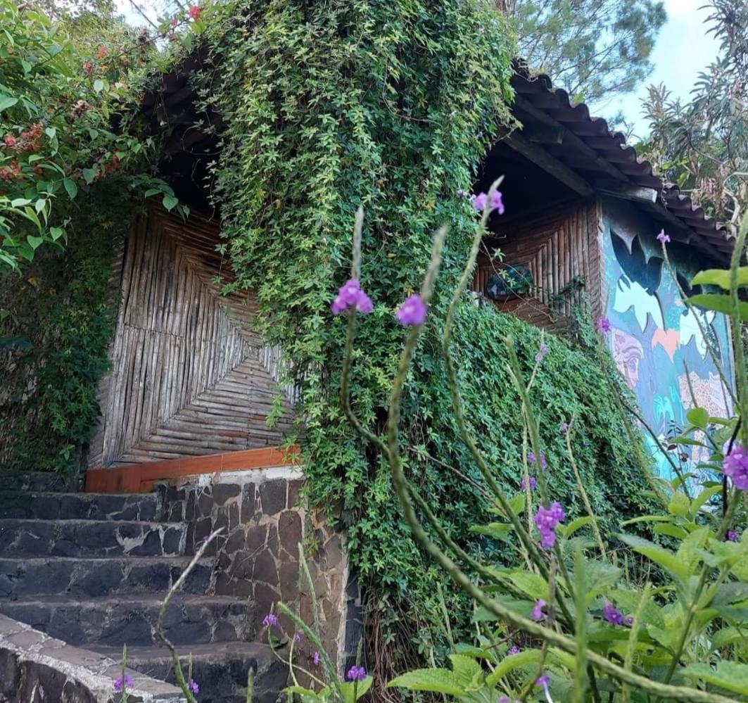 Finca Neblina Del Bosque เอสเตลิ ภายนอก รูปภาพ