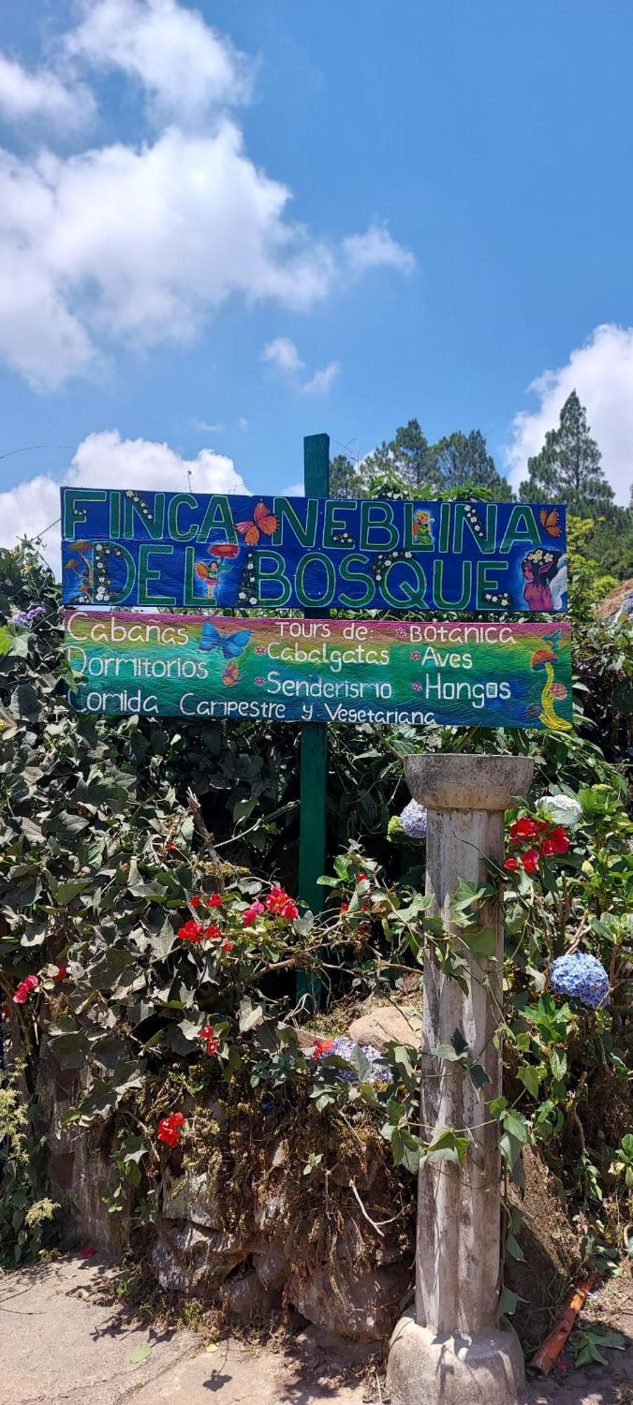 Finca Neblina Del Bosque เอสเตลิ ภายนอก รูปภาพ