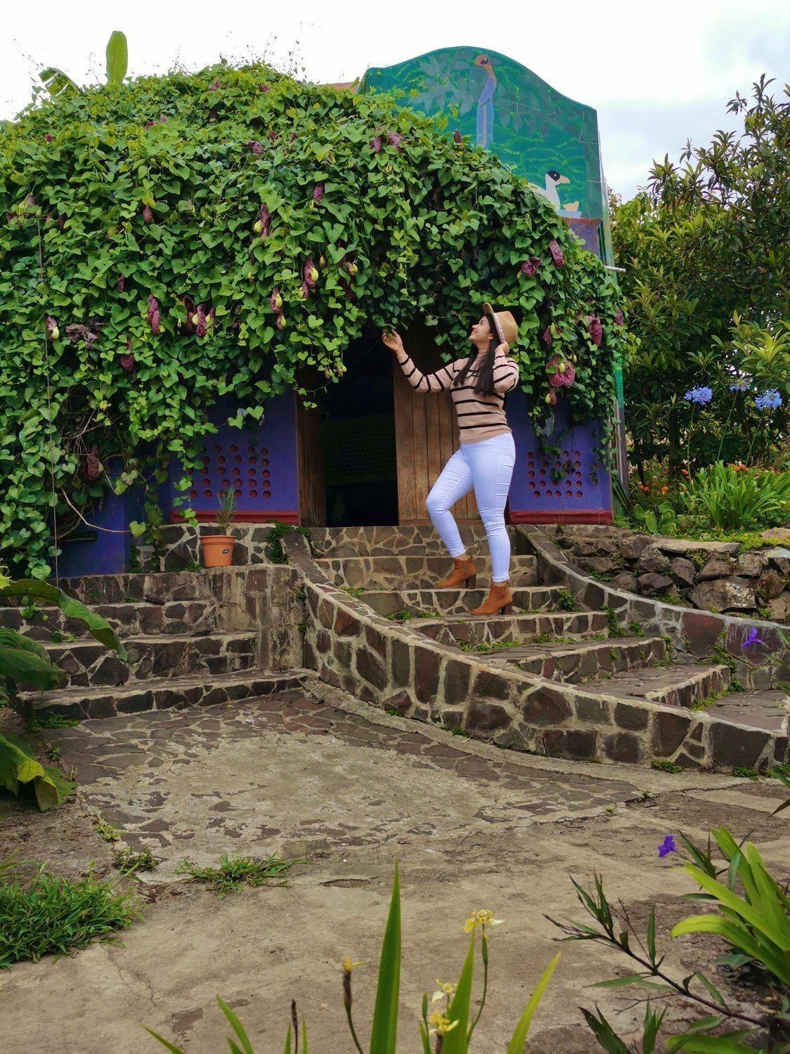 Finca Neblina Del Bosque เอสเตลิ ภายนอก รูปภาพ